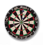 Viper Slash Official Competition Bristle Steel Tip Dartboard, WDF Accredited with Staple-Free Ult...
