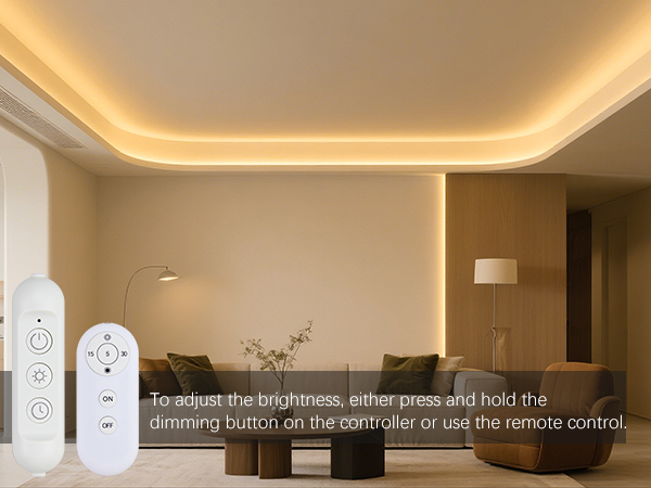 Dual Dimming Methods