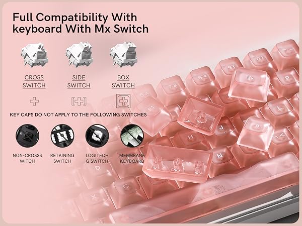 Full Compatibility With keyboard With Mx Switch