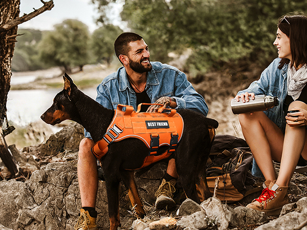 orange dog vest harness for camping