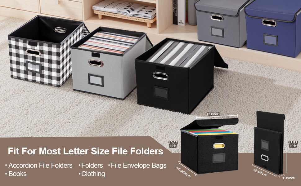 Storage File Boxes