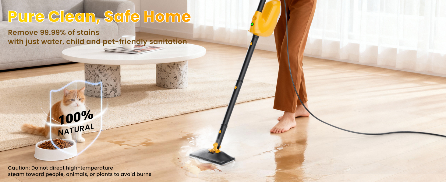 steam mop