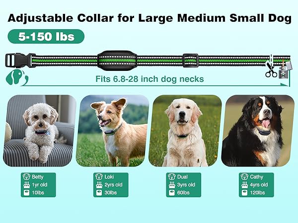 e collar for large 3 pack