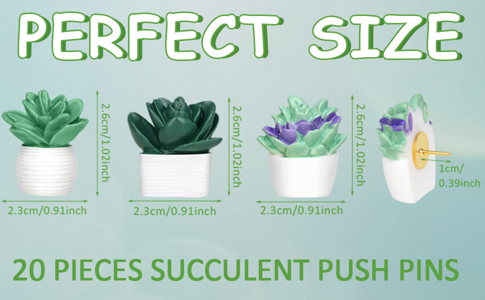 Cute Succulent Plants Decorative Push Pins Colorful Floret Thumbtacks for Photo Wall, Feature Wall