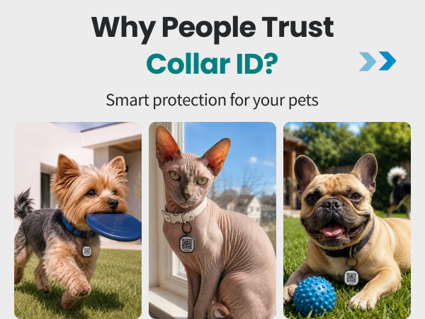 link collar id