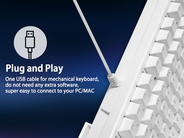 Wired Keyboard