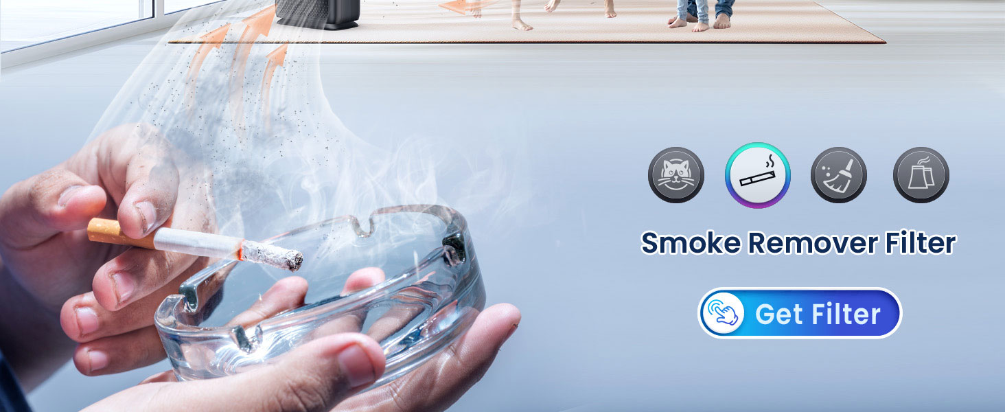 air purifiers for smoke