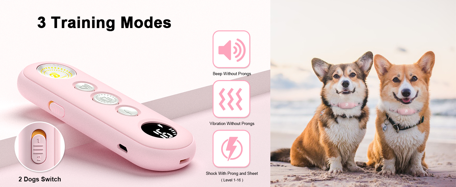 dog training collar