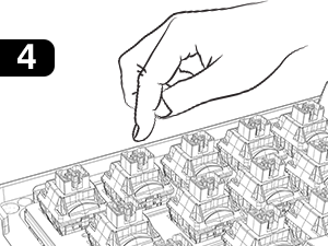 Gateron Oil King Ghost Pro Switches