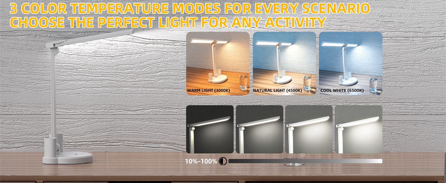 Zensun LED Desk Lamp