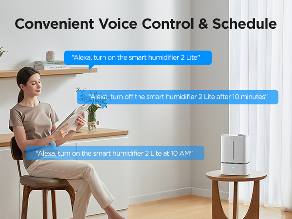 voice control