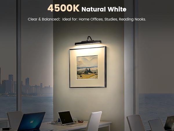 portrait lights for wall picture
