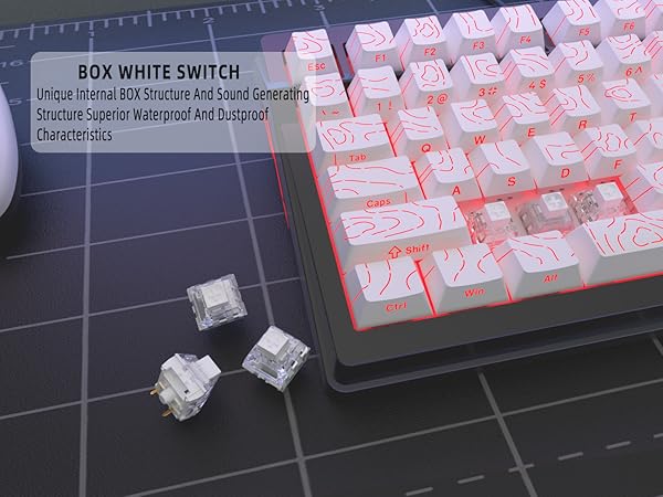 Kailh Box White Clicky Keyboard Switch