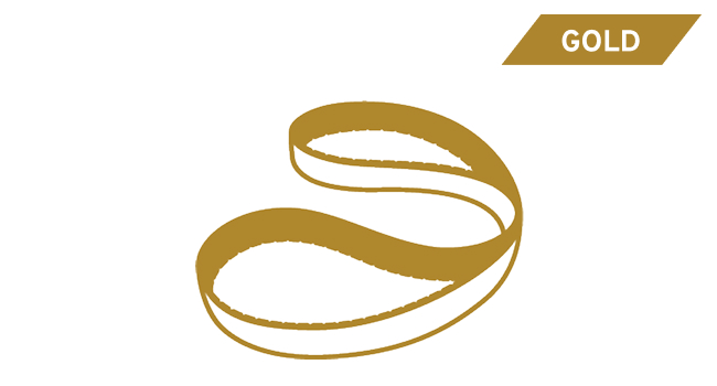 Gold belt illustration