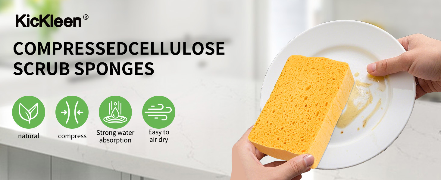 KICKLEEN FRENCH SPONGE