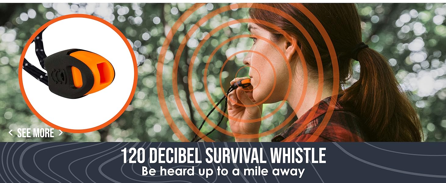 Whistle