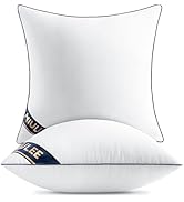 MIULEE 20x20 Pillow Inserts Set of 2 Throw Pillows 20 Inch Premium Down Alternative Pillow Insert...