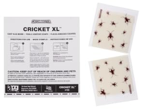 cricket xl glue trap