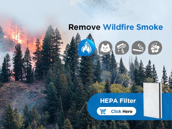 air purifiers for home