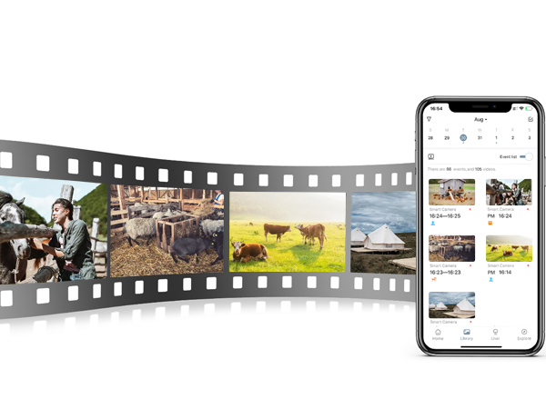 Video and image storage
