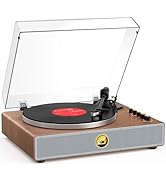 Vinyl Record Player with AT-3600L Cartridge, Bluetooth Turntable with USB to PC Recording, Alumin...