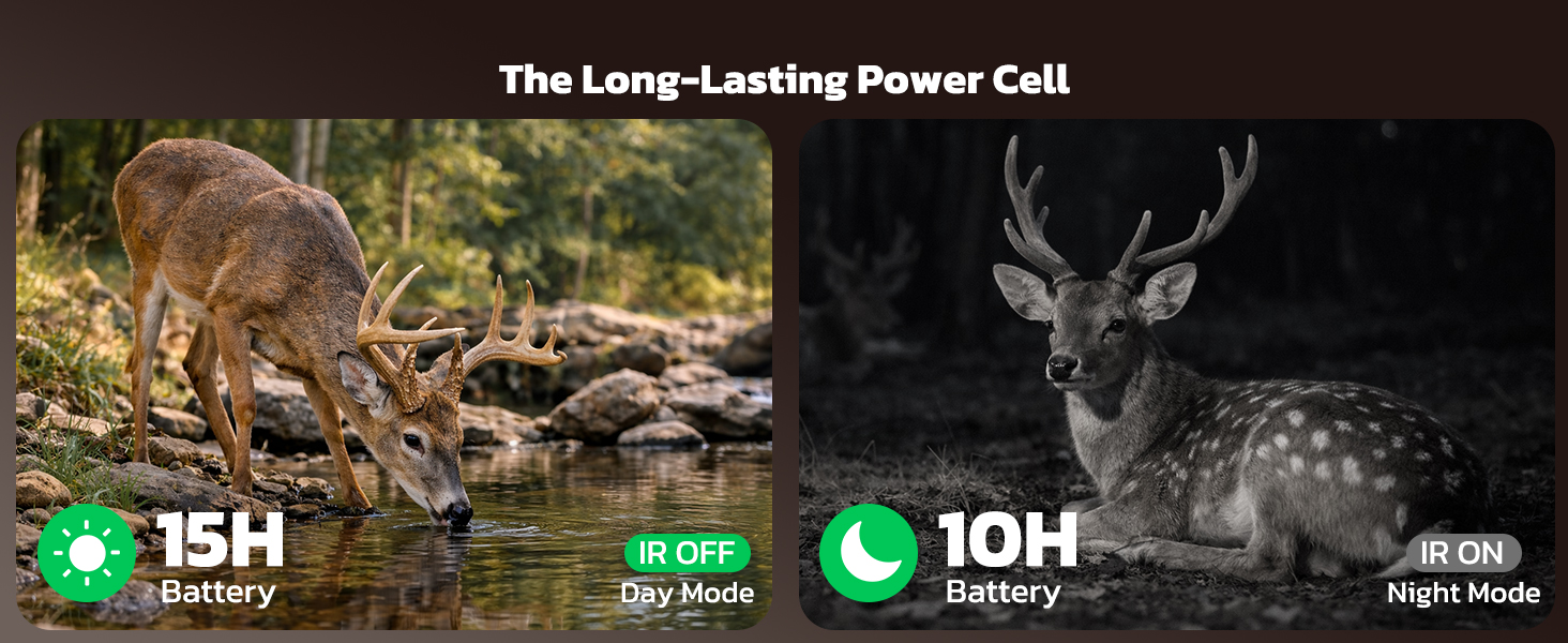 night vision binoculars