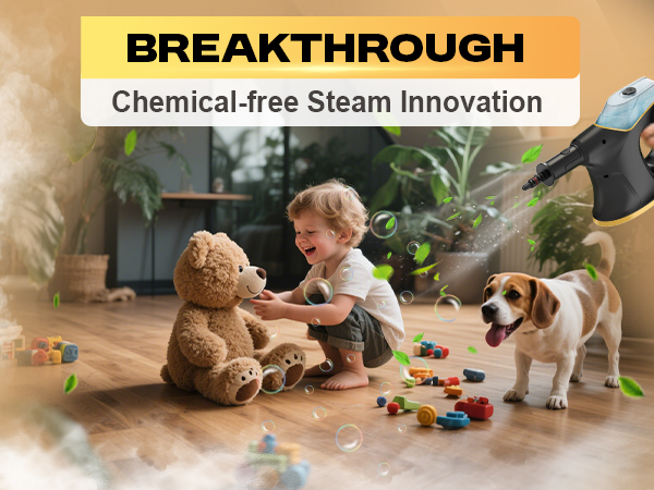 Heavy Duty Steam Cleaner