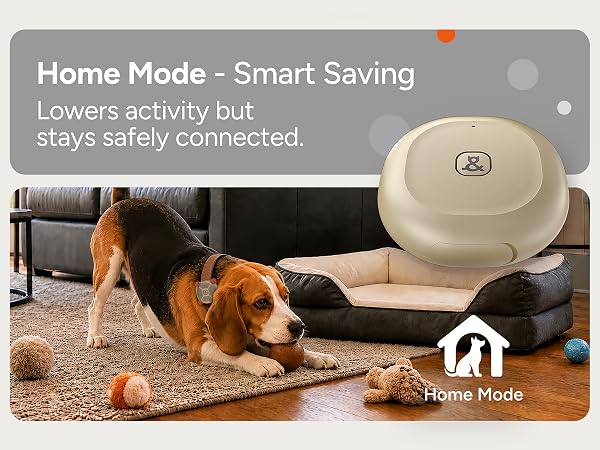 Dog &amp;amp; Cat GPS Tracker