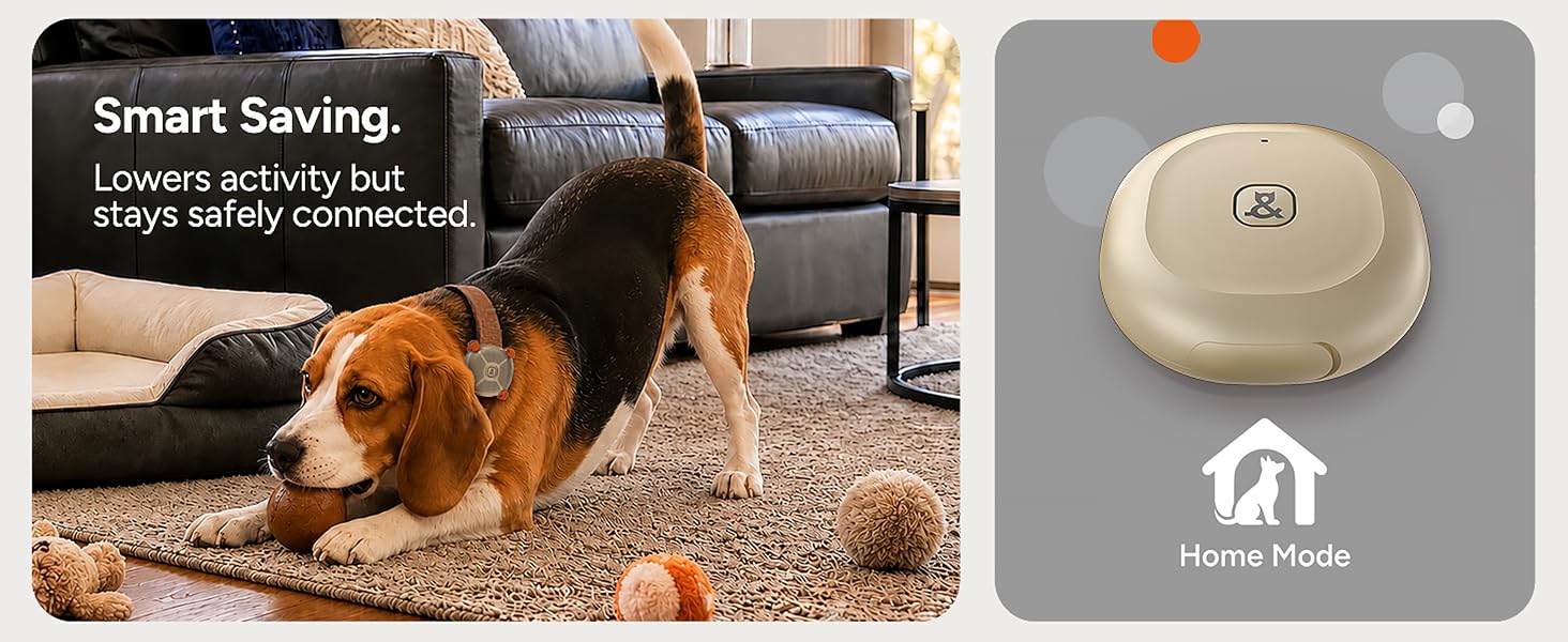 Dog &amp;amp; Cat GPS Tracker
