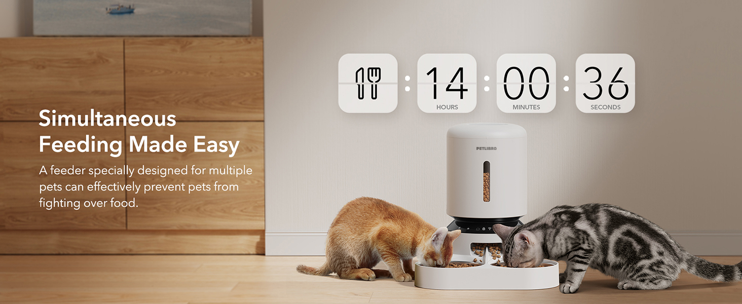 automatic cat feeder for 2 cats