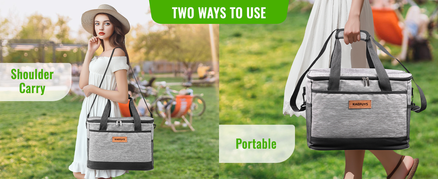 insulated lunch bag for men