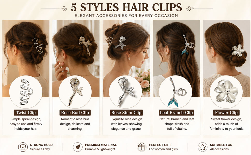 5 STYLES HAIR CLIPS