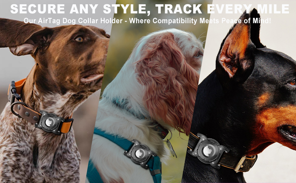 airtag dog