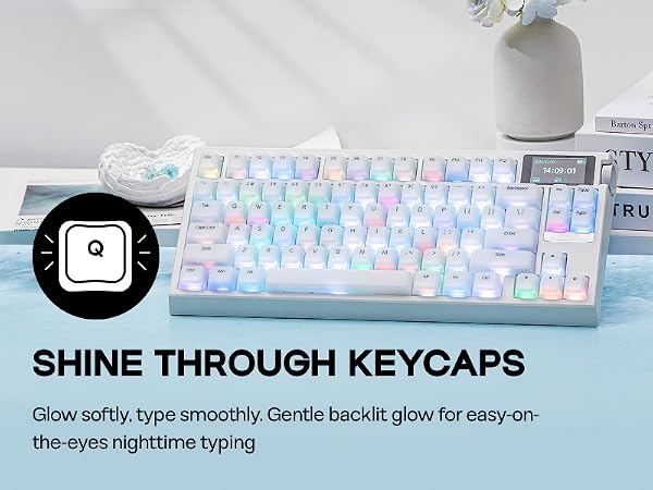 AegisSil Keycaps Set