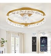 LEDIARY 20 Inch Low Profile Ceiling Fans with Lights and Remote, Fandelier Ceiling Fan Flush Moun...
