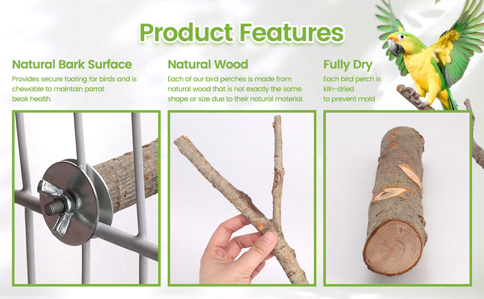 bird cage accessories
