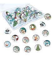 Push Pins for Cork Board-24pcs Decorative Push Pins with Case, Cute Thumb Tacks and Pushpins for ...