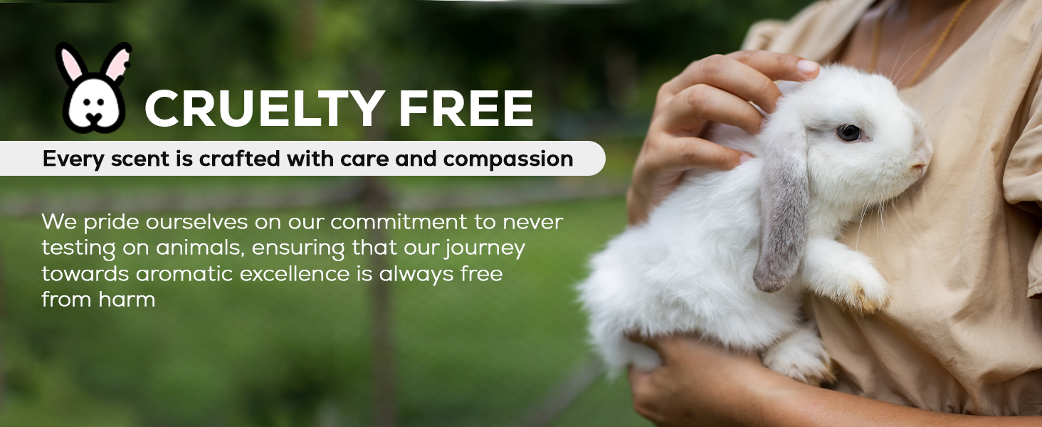 cruelty free air humidifier difusor de aromas para casa diffusers for essential oils large room