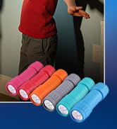 EverBrite 9-LED Flashlight 6-Pack Impact Handheld Torch Assorted Colors with Lanyard 3AAA Battery...