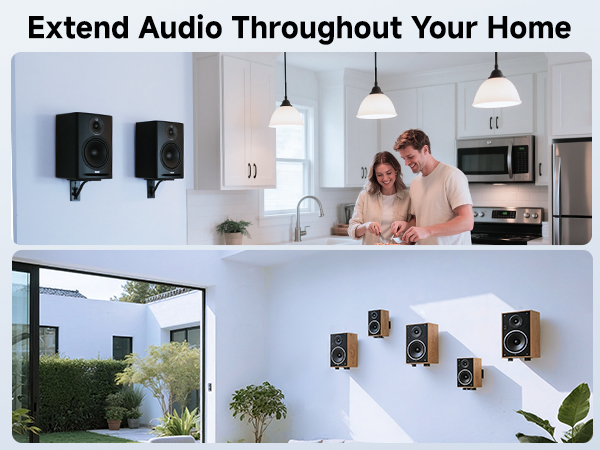 Speaker wire wall plate with banana plug binding posts for AV setups