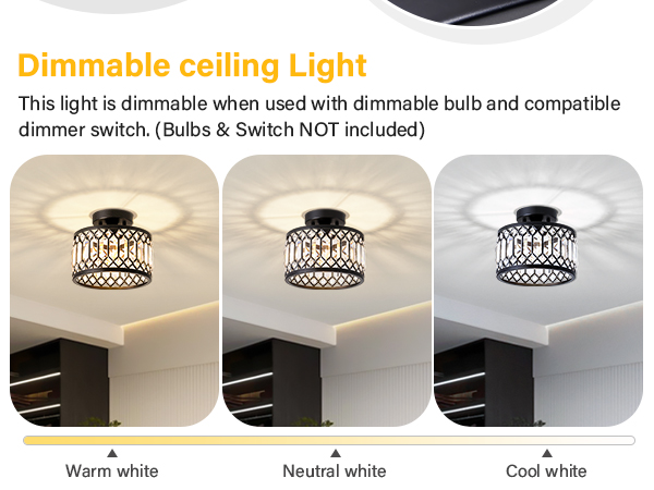 Crystal Black Ceiling Light