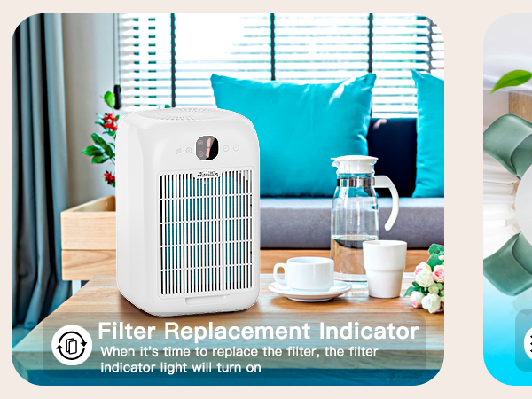  Air Purifier for Home large room