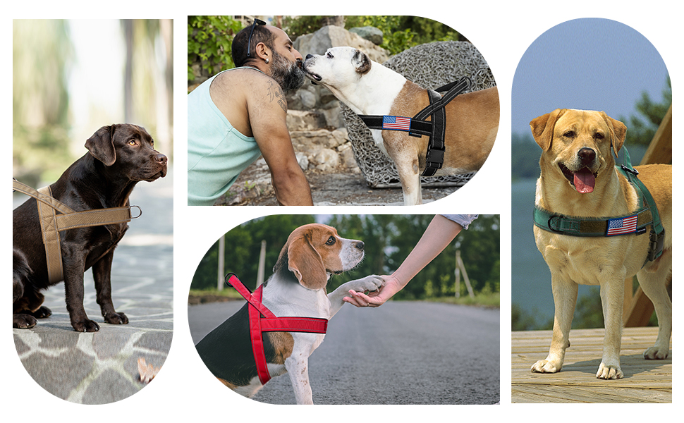 no pull dog harness fit for small medium and large dogs