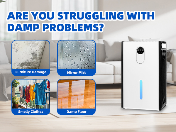 dehumidifiers for home