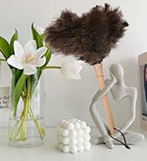ostrich feather duster for cleaning
