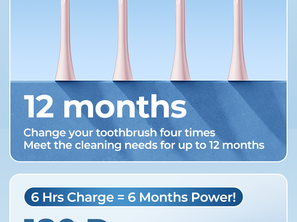 Adult electric toothbrush
