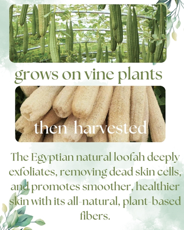 exfoloaite and remove dead skin