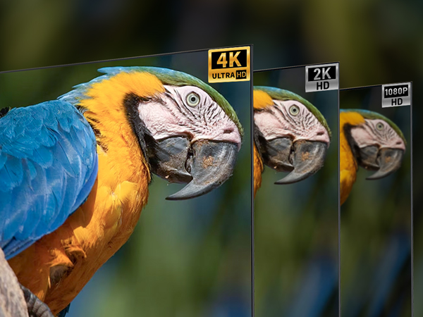 Comparison of image quality showing blue-and-yellow macaw parrot in three resolution levels: 4K, 2K HD, and standard definition.