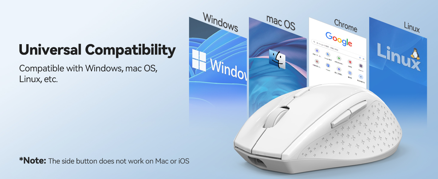 mouse