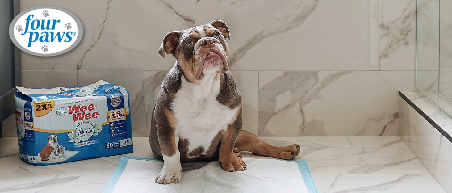 Four Paws Brand Story FY25